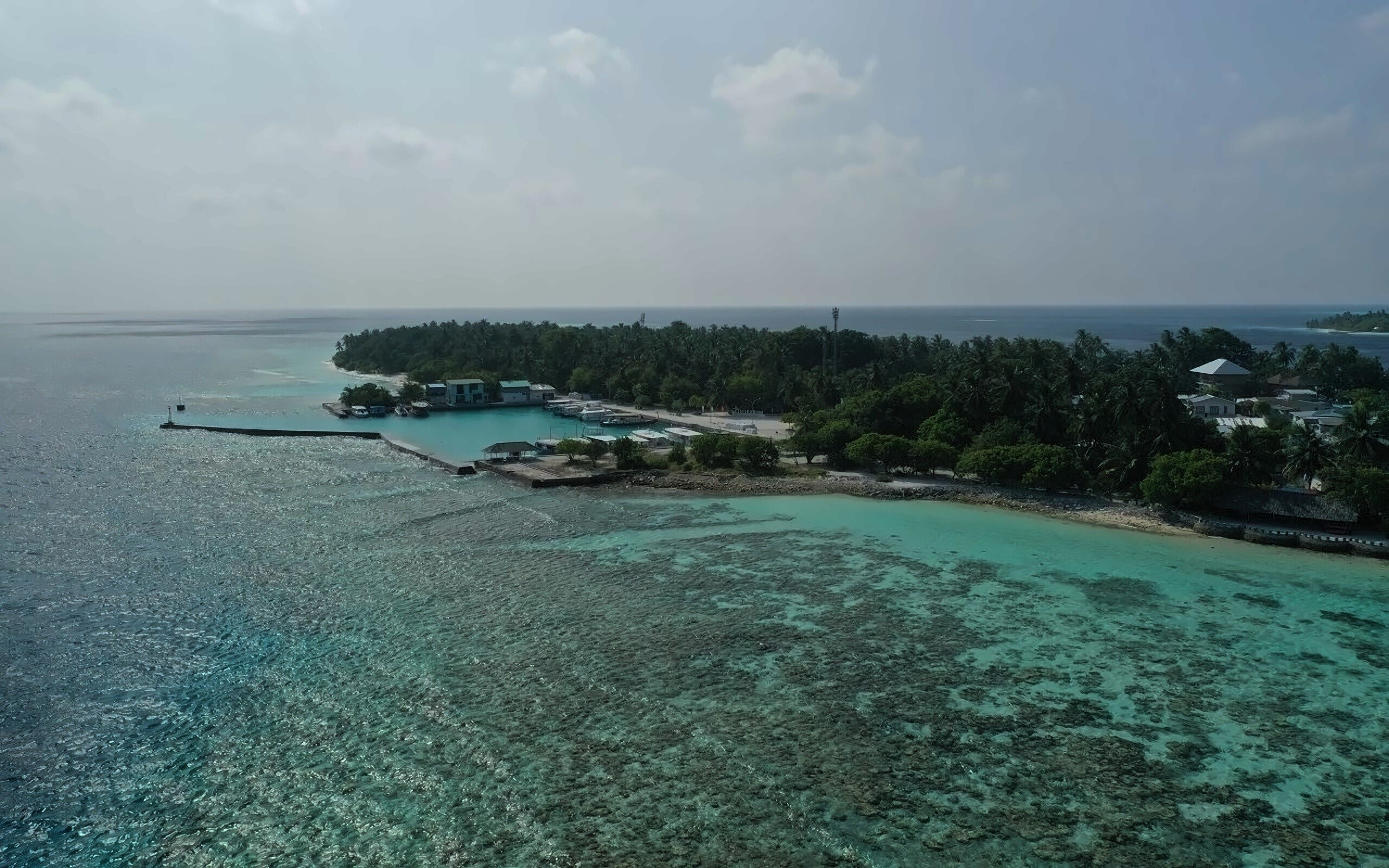 Фото Plumeria Maldives Guest House 1*