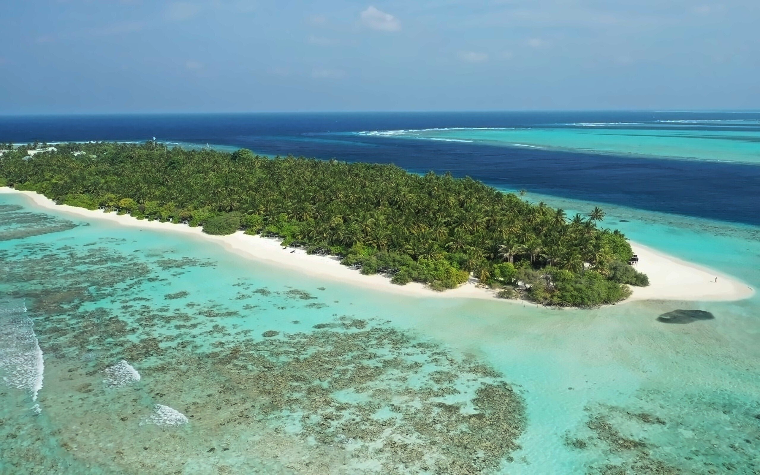 Изображение Plumeria Maldives Guest House 1*