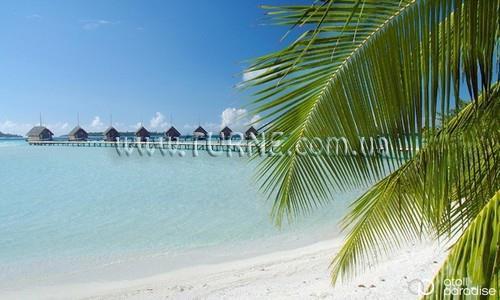 Картинка Cocoa Island 5*