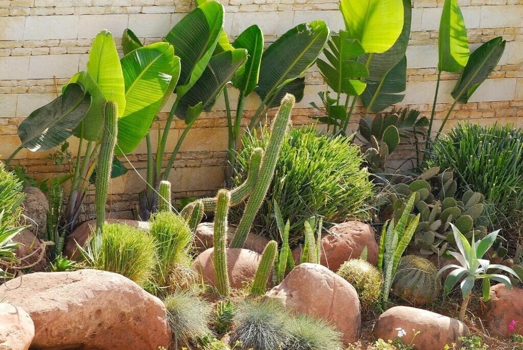 Картинка Timoulay 4*