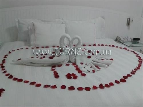 Фото Bel Air Collection Resort & Spa Cancun 4*