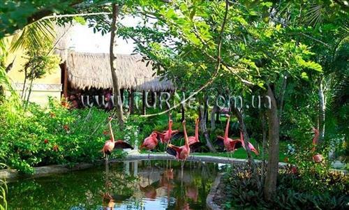 Картинка Iberostar Cozumel 5*