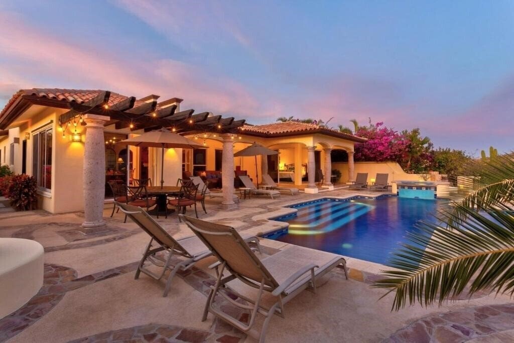 Изображение Agave Azul 2*