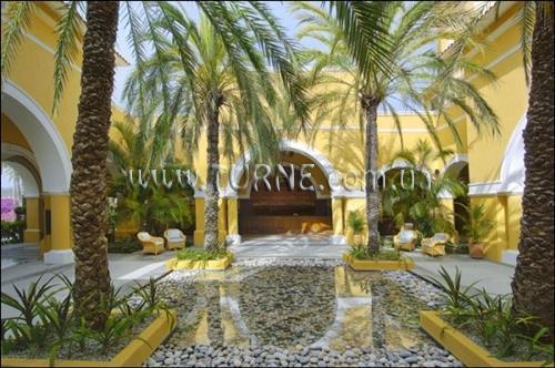 Картинка Dreams Los Cabos Suites Golf Resort 4*