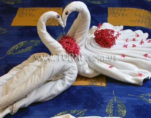 Отель Sandos Playacar Beach Resort & SPA 5*