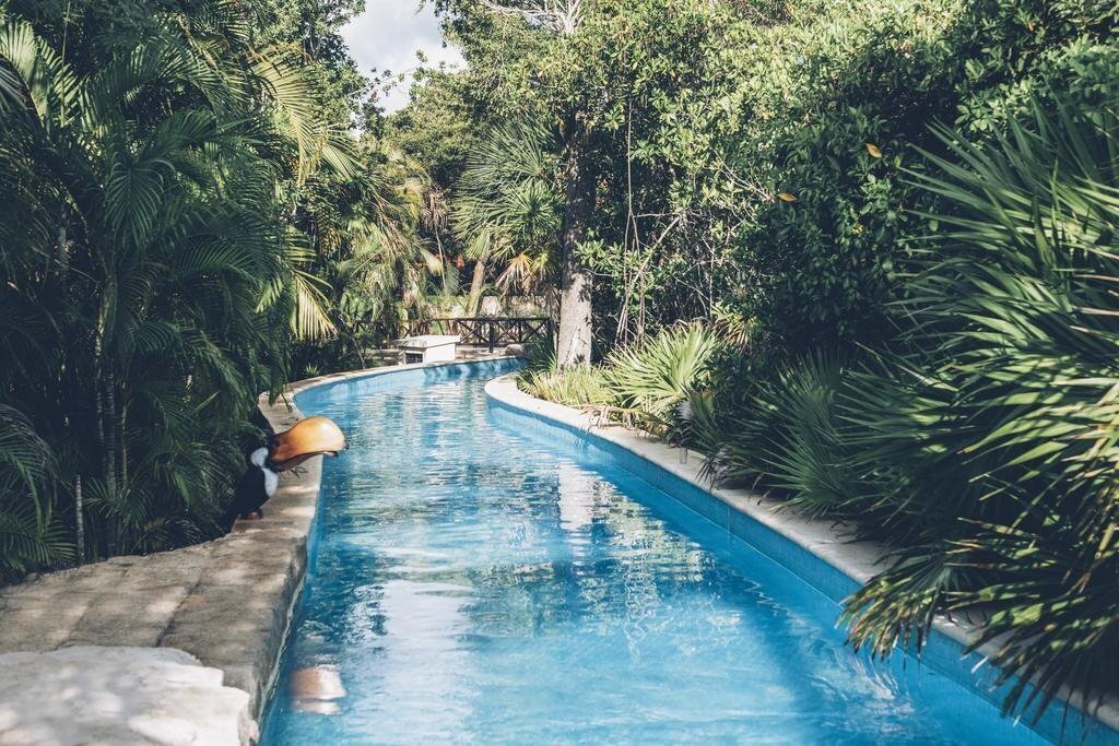 Изображение Iberostar Selection Paraiso Maya 5*