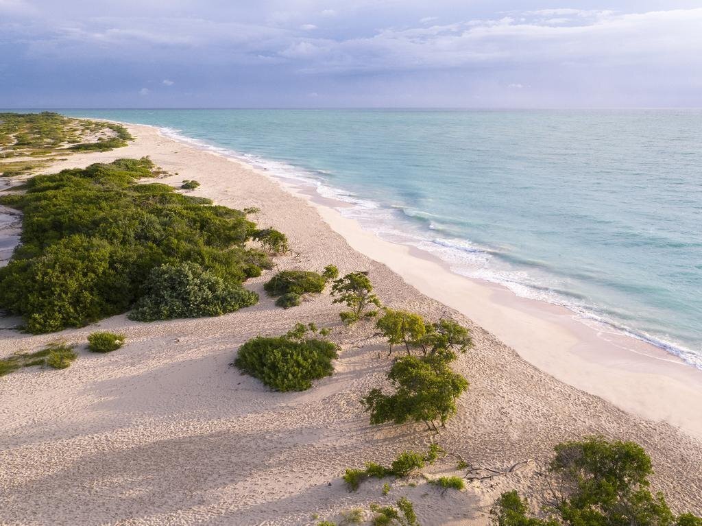 Фото Trs Coral 5*