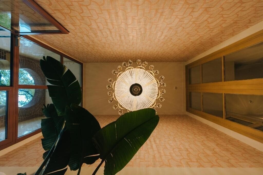 Изображение Omega 3*