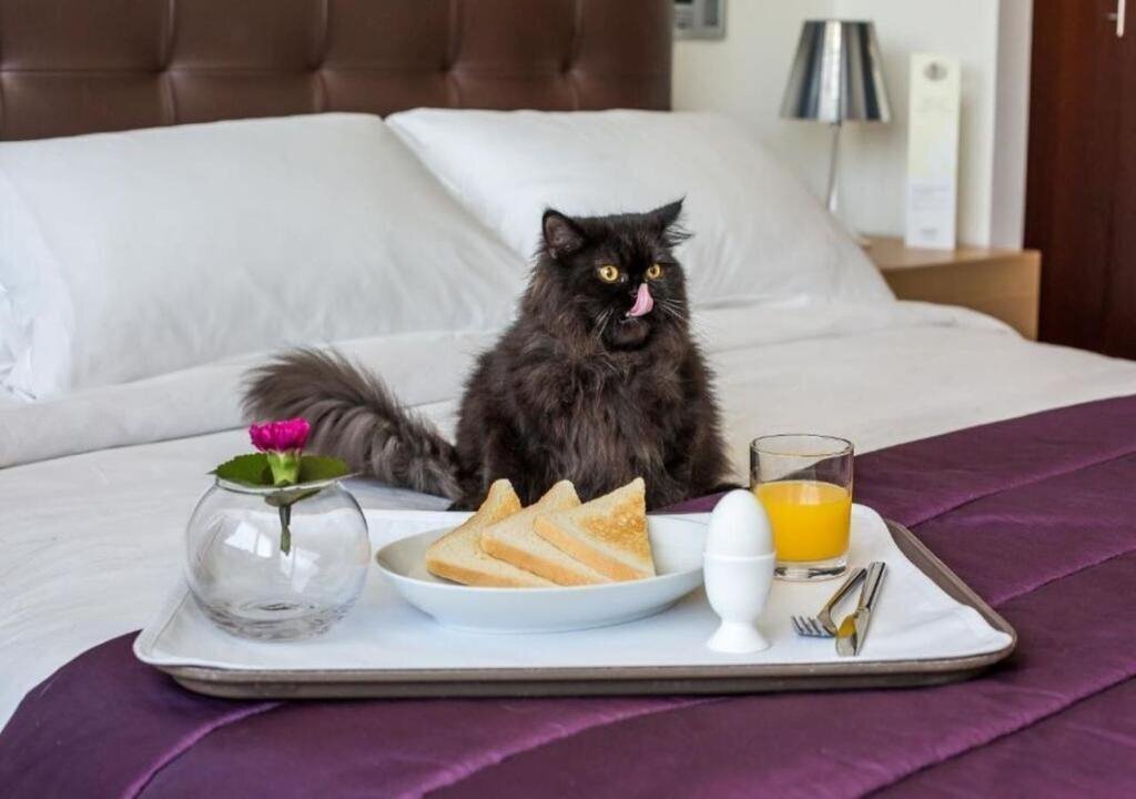 Фото Jumeirah Living World Trade Centre Residence 4*