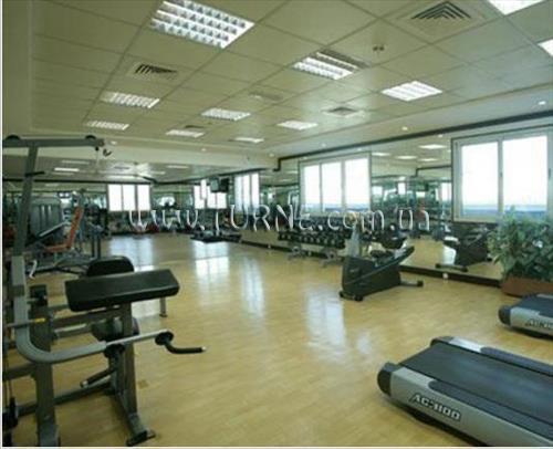 Изображение Winchester 4*