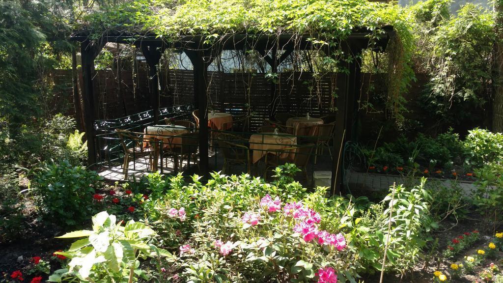 Изображение Monika 2*