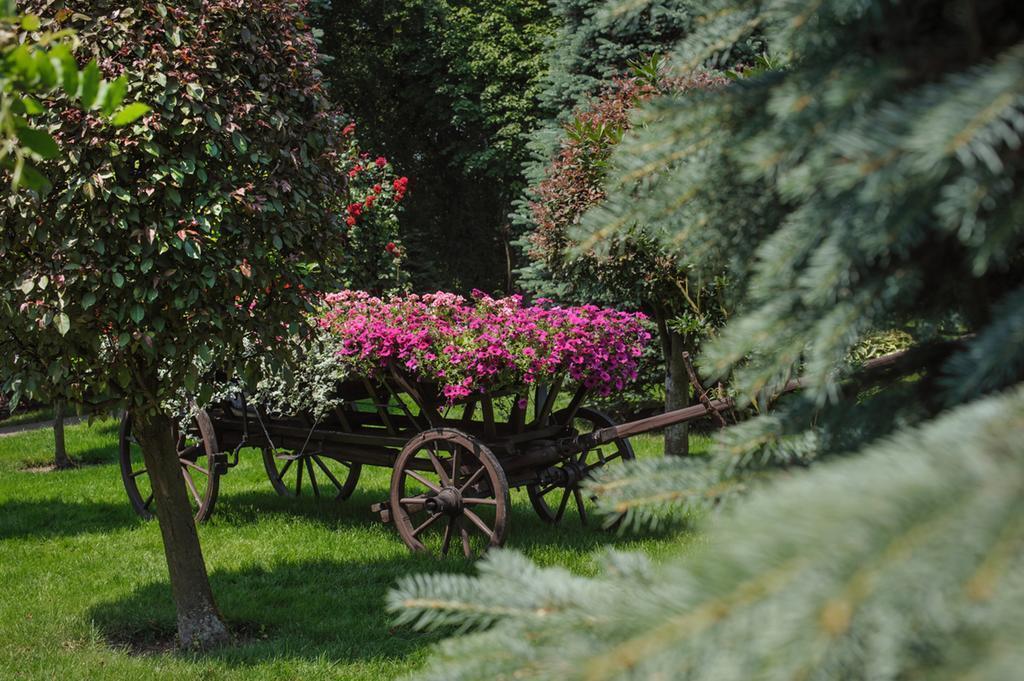 Изображение Crown Piast 5*