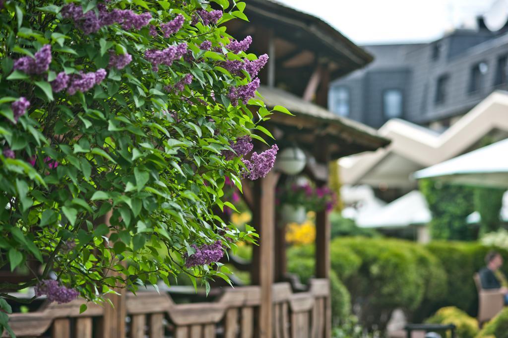 Картинка Crown Piast 5*