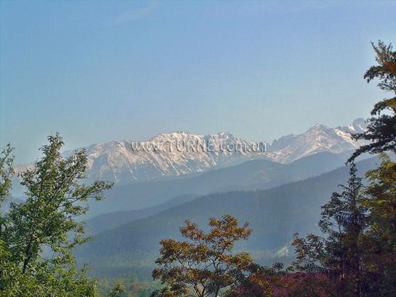 Фото Crazy Horse 2*