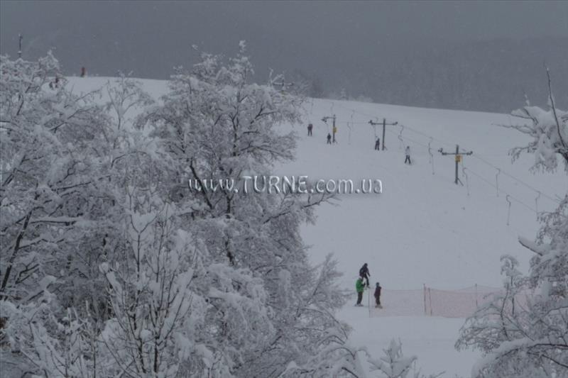 Изображение U Guta 1*