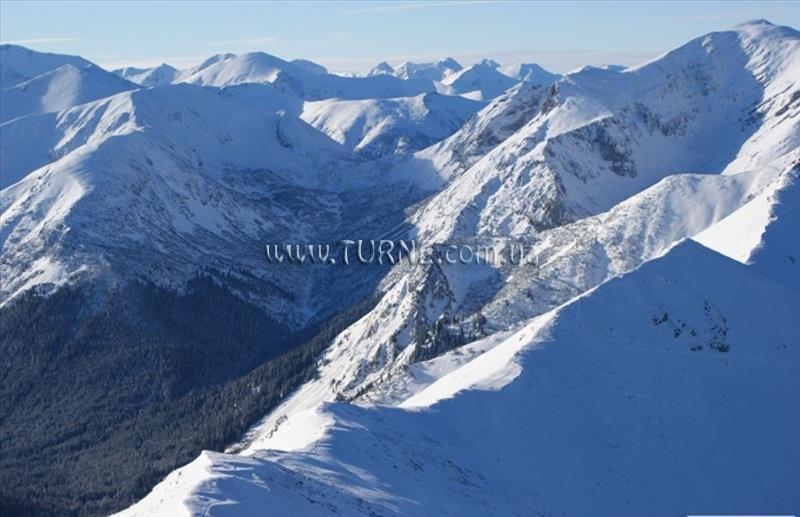 Отель Willa Calvados 2*