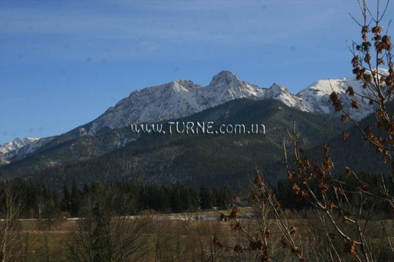 Фотография Nella пансионат