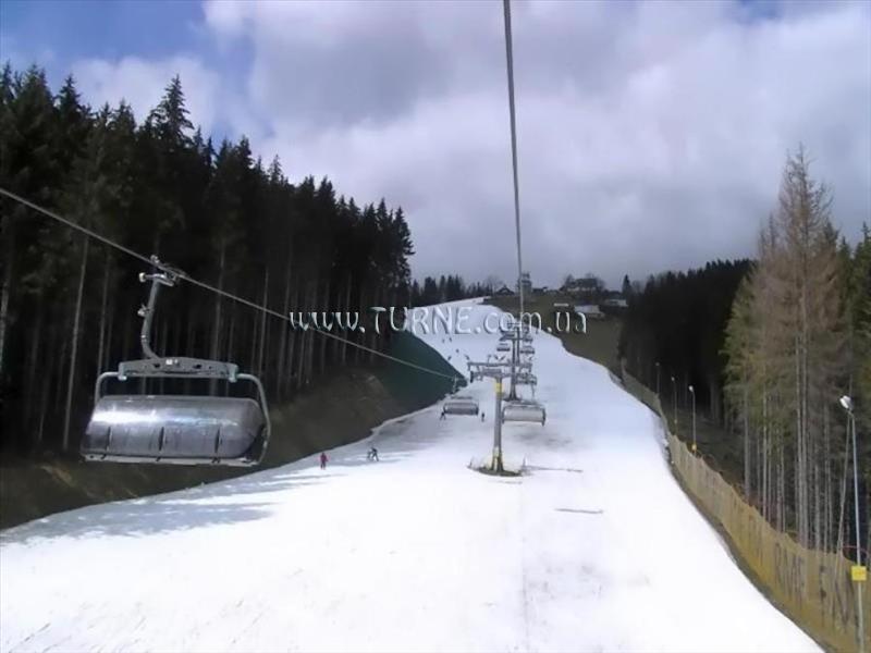 Изображение Willa Wantula 2 2*