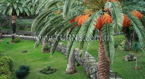 Картинка Dom Pedro Baia Club 4*