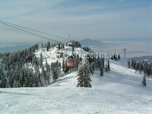 Фотография Limor 4*