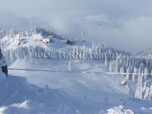 Фотография Daria Pension 4*