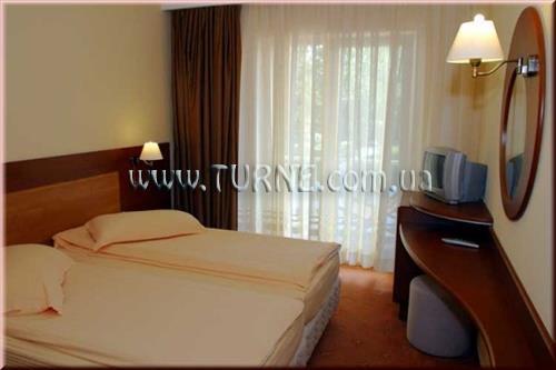 Фотография International 4*