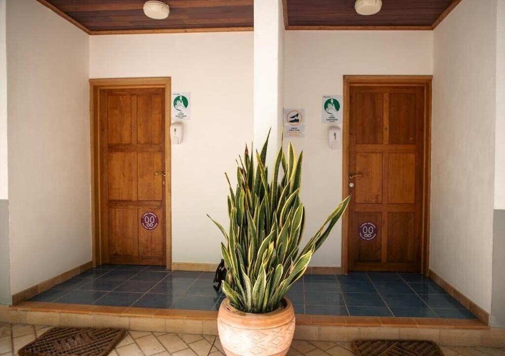 Отель Cavern Apartments 4*