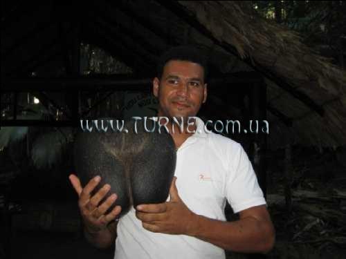 Изображение Beach Villas 2*