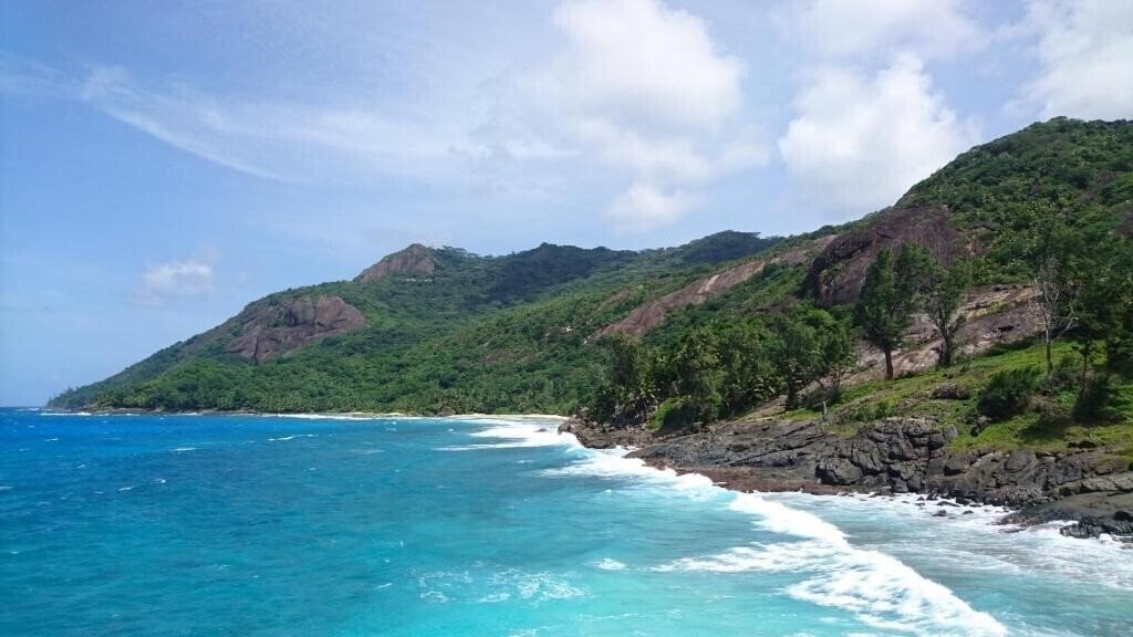 Изображение La Belle Tortue 4*