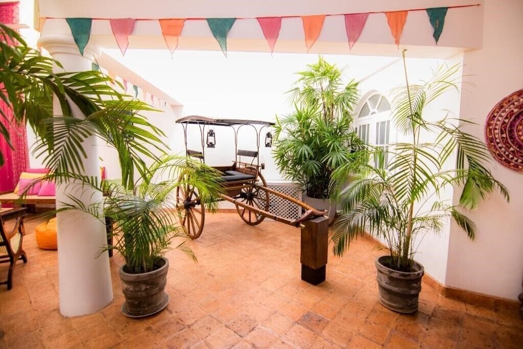 Изображение Mango House 1*