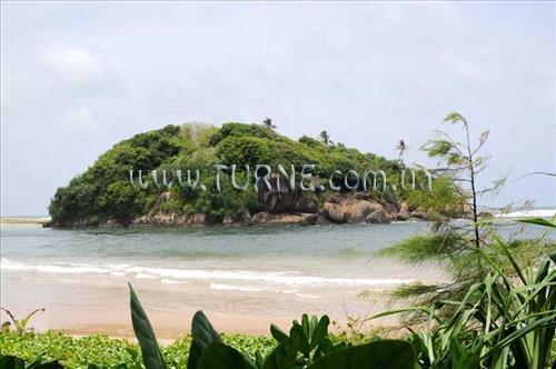 Фотография Lanka Princess 4*