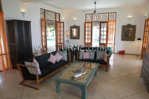 Изображение Frangipani Tree 5*