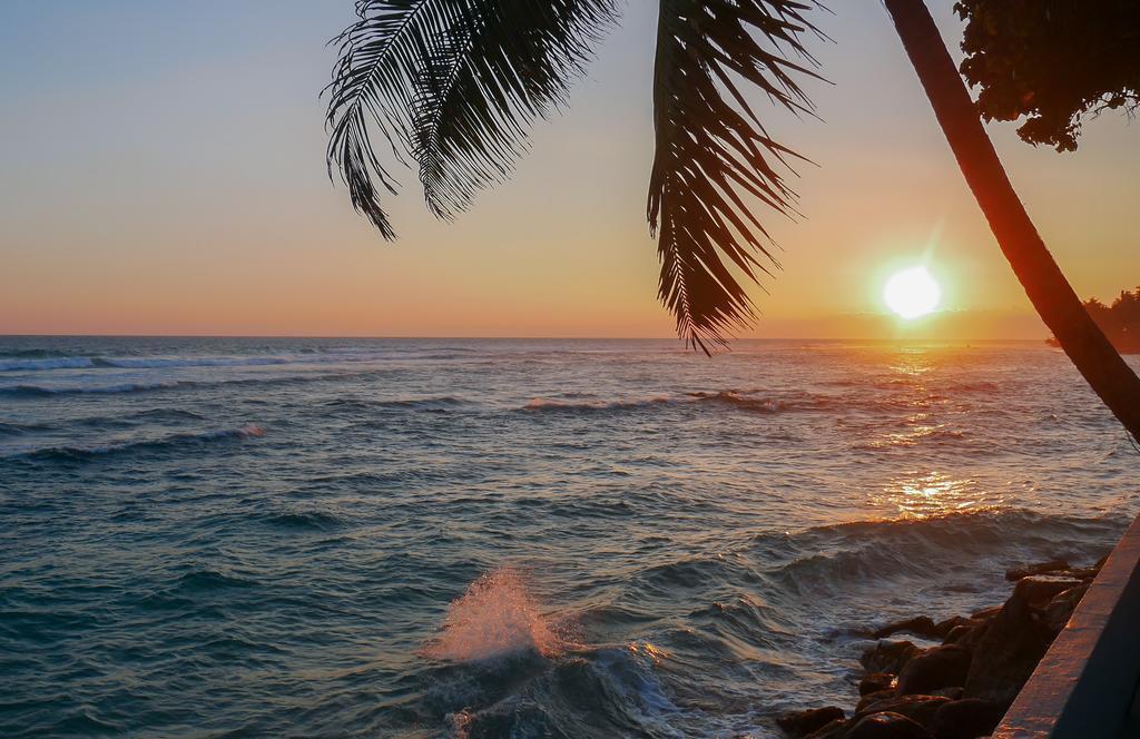 Изображение Cantaloupe Aqua 4*