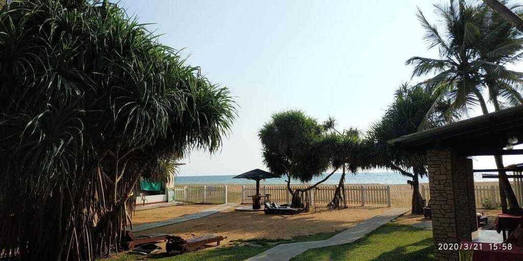 Фотография Green Shadows Beach Hotel 2*