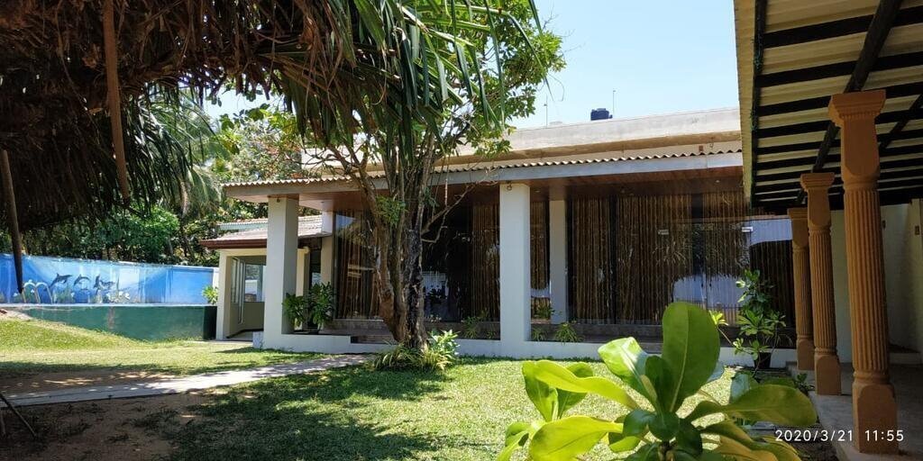 Изображение Green Shadows Beach Hotel 2*