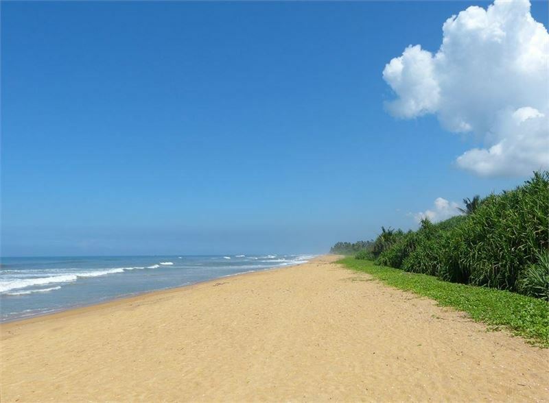 Изображение The White Haven 3*