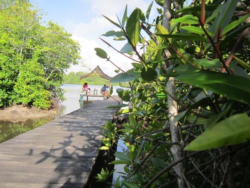 Фотография Cinnamon Lake Inn 4*