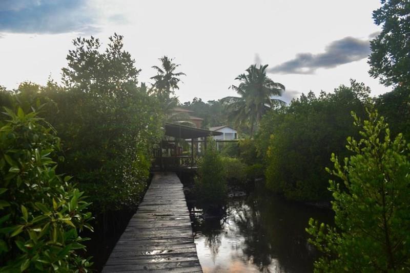 Фото Cinnamon Lake Inn 4*