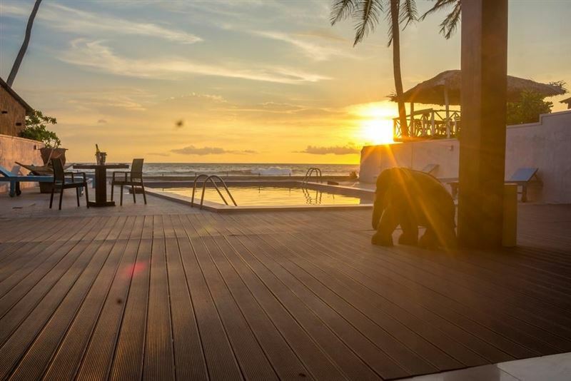 Отель Heaven Seven 3*