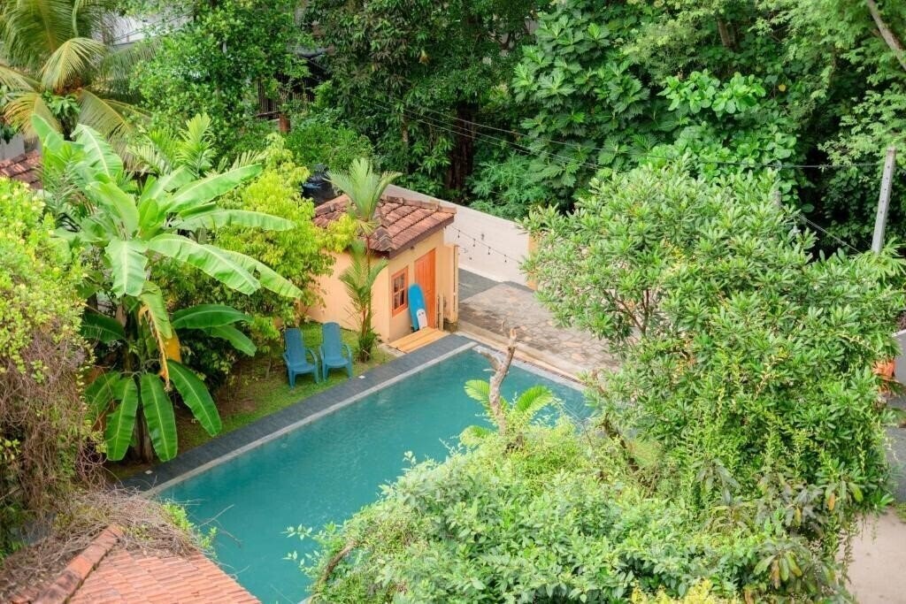 Фотография Monkey Villa 3*