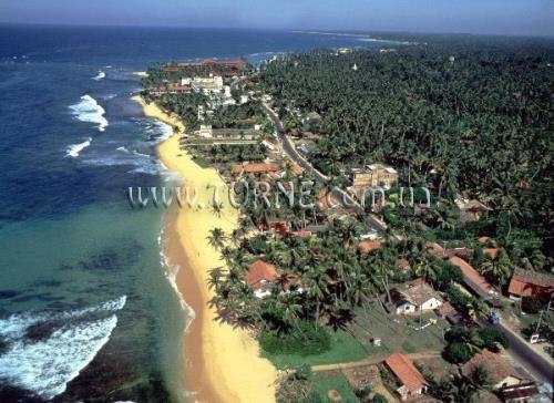 Фотография Chaaya Bey 4*