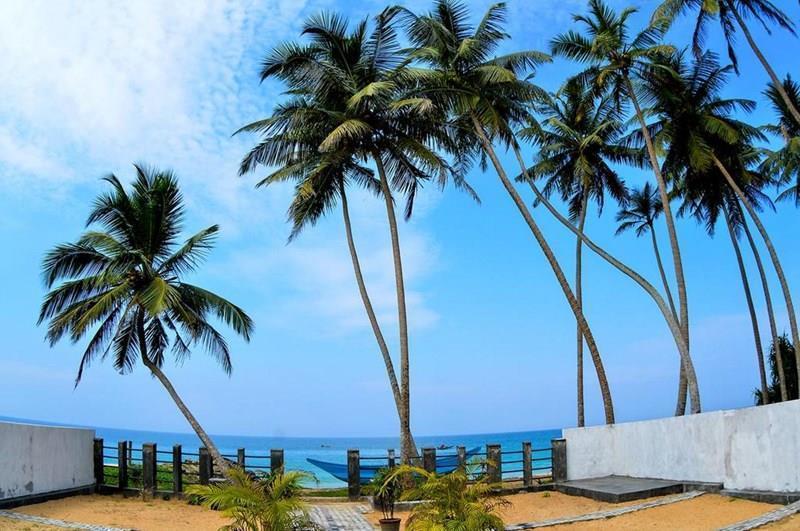 Фотография Rainbow Beach Hotel 3*