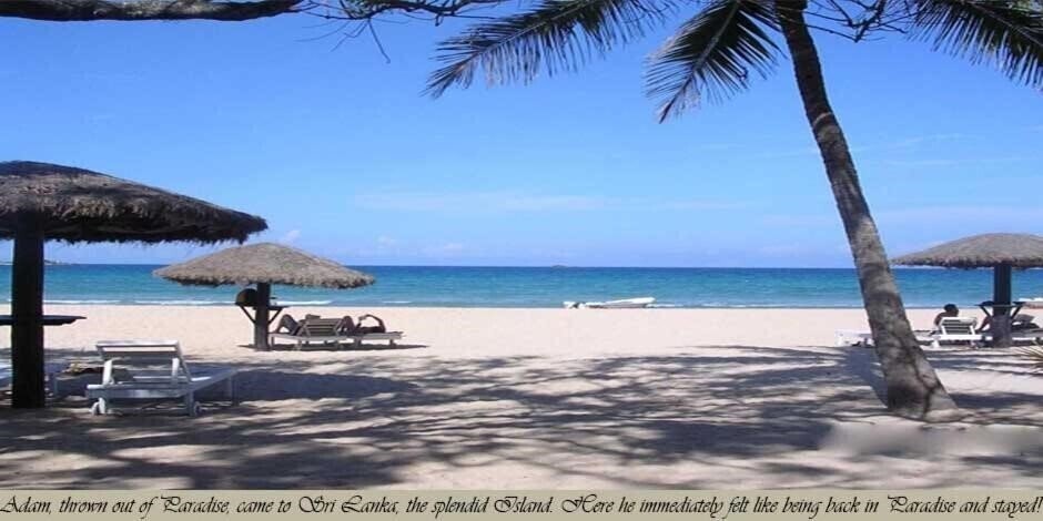 Отель Nilaveli Crystal Blue Hotel 3*