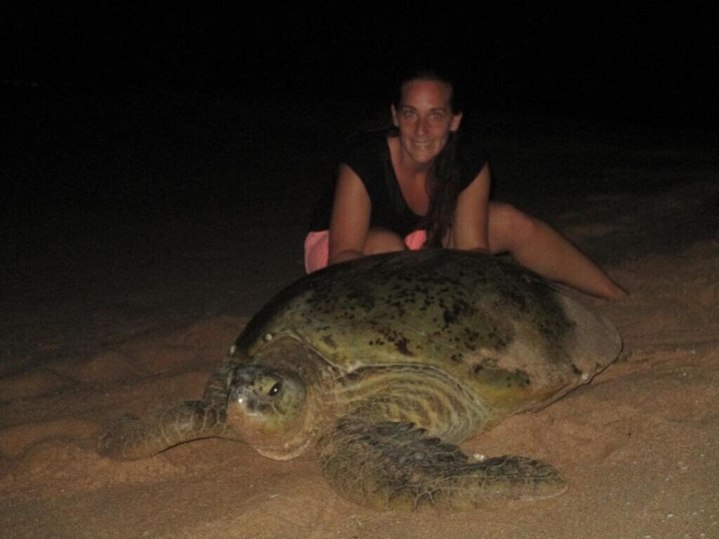 Отель All View Resort отель без категории