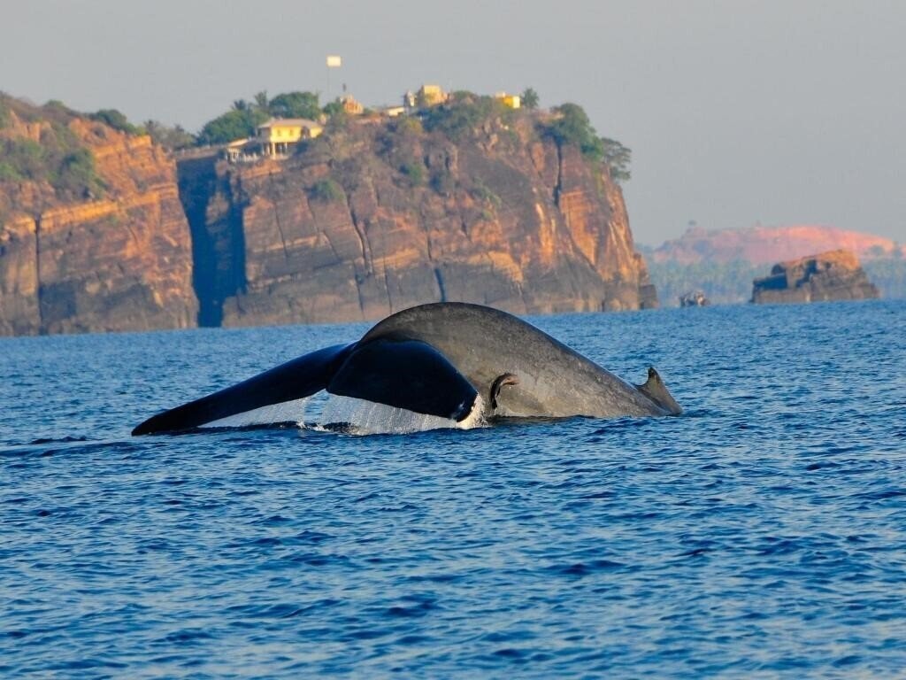 Изображение Trinco Blu by Cinnamon (ex. Chaaya Blu) 4*