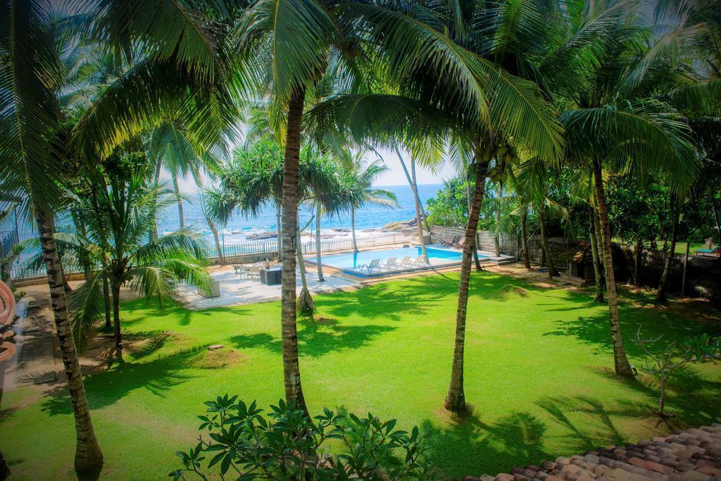 Фото Amor Villa 3*