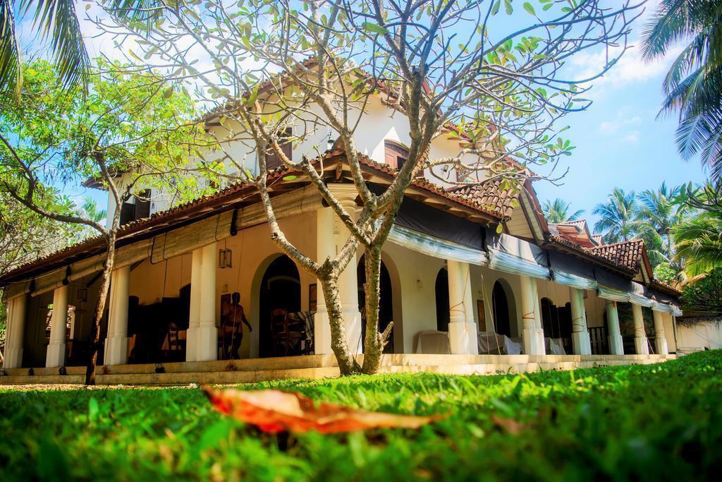 Изображение Amor Villa 3*