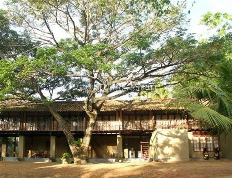 Картинка Star Light Hotel 3*