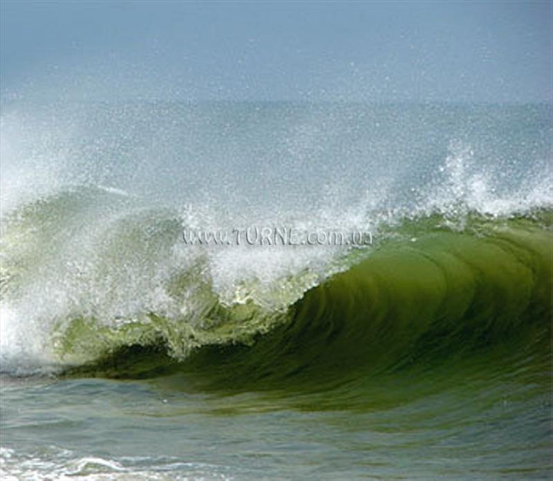 Изображение Star Light Hotel 3*