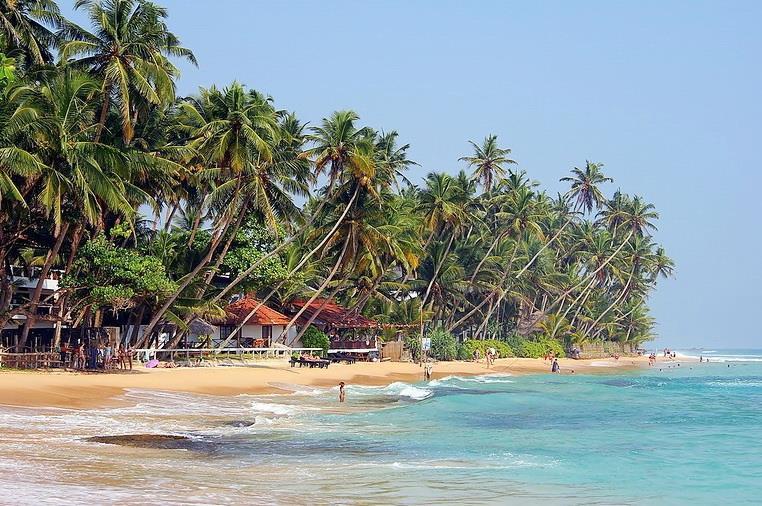 Фотография Hotel J Unawatuna 3*